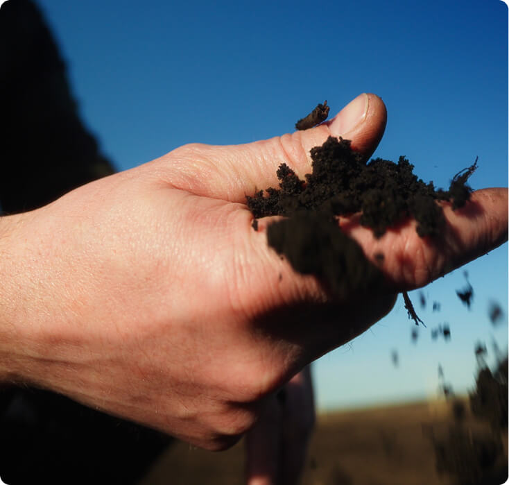 Main tenant de la terre agricole