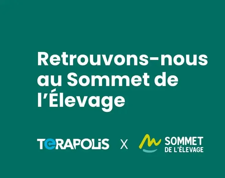 image actualite